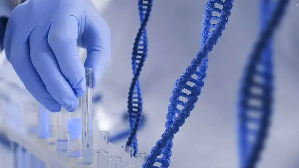 Campione biologico in laboratorio con filamento DNA, simbolo di estrazione e comparazione genetica per indagini tecniche.